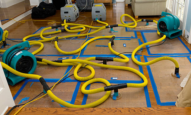 Professional Storm Water Damage Restoration technician working in Lincoln Park, NJ